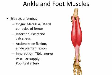 How to reduce the volume of gastrocnemius muscles